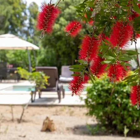 Il Casale Del Sole- Con Depandance E Piscina Alghero